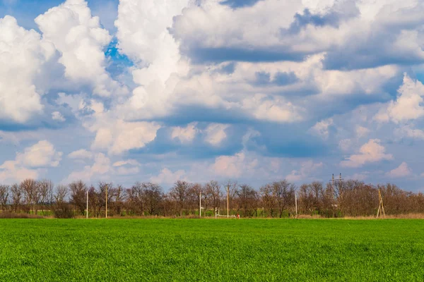 Зеленое поле и голубое небо с облаками. Сельский пейзаж — стоковое фото