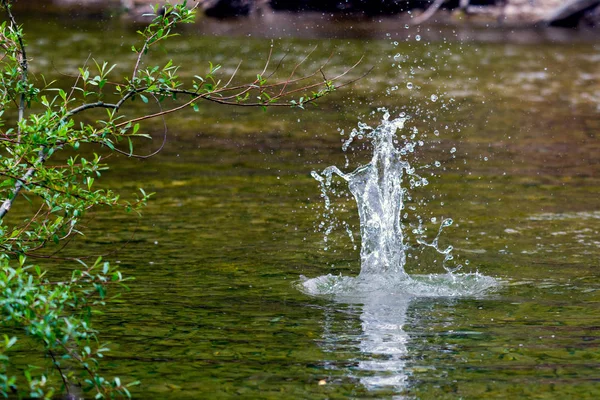 Salpicadura de agua en el lago naturaleza — Foto de Stock