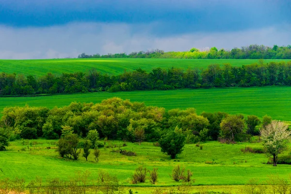 Bela paisagem, campo verde e amarelo. Céu dramático com nuvens . — Fotografia de Stock