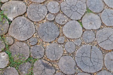 Ahşap yuvarlak kütükler ve taşlar bahçesinde yol. Ahşap doku. Rustik tarzda arka plan. Üstte görüntü
