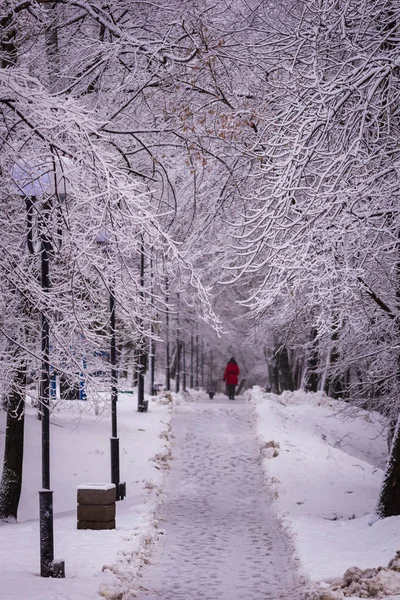 Femme en rouge avec chien sur l'allée d'hiver dans le parc par une journée enneigée — Photo