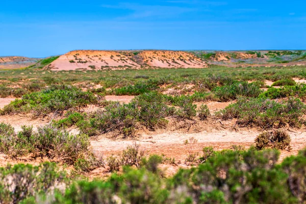 Terreno di takir crackizzato a secco in semi-deserto in Russia. Paesaggio naturale — Foto Stock