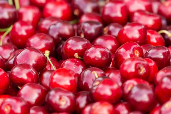 Primer plano de pila de cerezas maduras con tallos. Gran colección de cerezas rojas frescas. Fondo de cerezas maduras —  Fotos de Stock