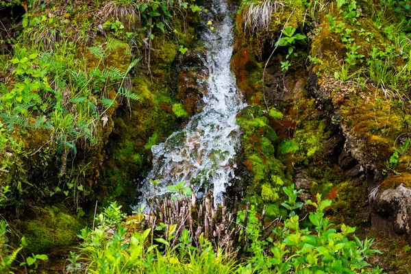 Wodospad zielony las strumień rzeki krajobraz — Zdjęcie stockowe