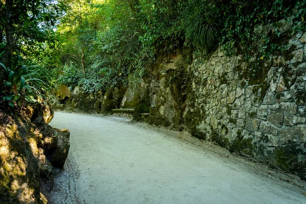 Path or road in park