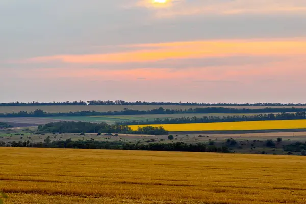 Paisagem de campo de trigo com caminho ao pôr do sol — Fotografia de Stock