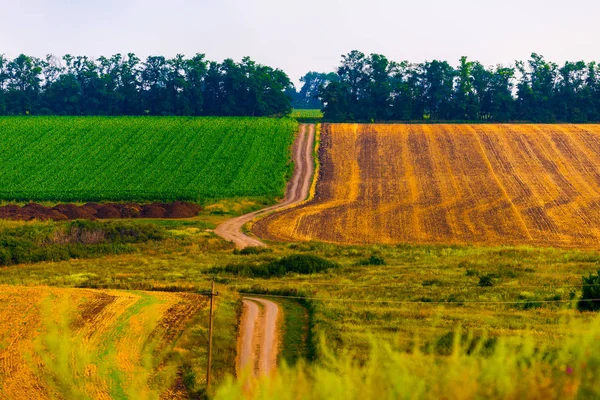 Escénica hermosa típica exuberante paisaje verde con campos —  Fotos de Stock