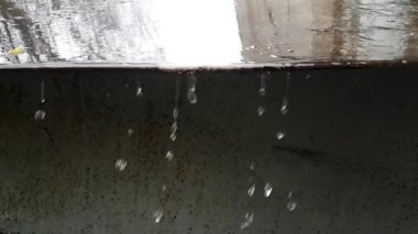 Soyut bahar yağmur su damlaları yavaş hareket güzel bir doğal slowmo video