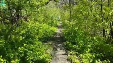 İlerleme, yol boyunca ormanın veya parkın çalılıklarında yürümek