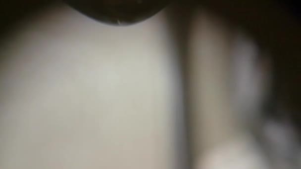 Макровидео с крупным планом капли воды в замедленной съемке — стоковое видео