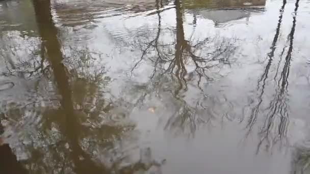 Otoño gotas de agua de lluvia cayendo en un gran charco sobre asfalto, inundando la calle. Vídeo en cámara lenta . — Vídeos de Stock