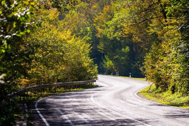 Sonbahar ağaçlar ile yeni bir yol doğal görünümünü