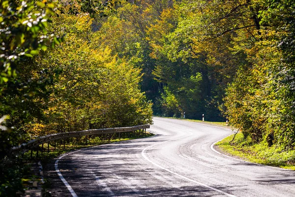 Malebný pohled nové silnice přes podzimní stromy — Stock fotografie