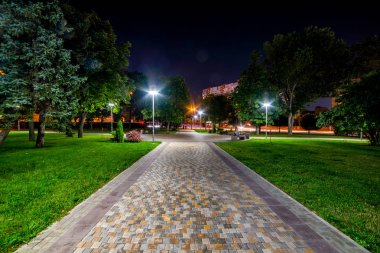 Geceleri lambaları ile güzel şehir parkı geçit