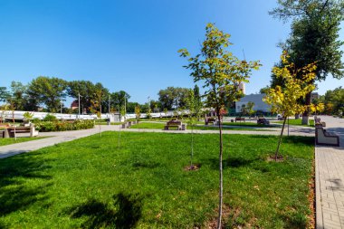 Park orman yürüyüş ve balo için doğal açık yol yolu yollar