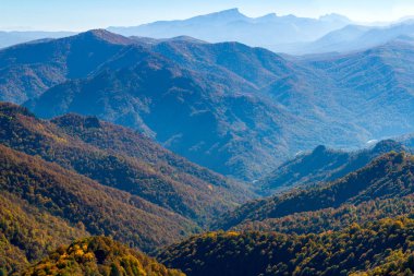 Sonbaharda dağ ormanlarında ağaçların olduğu manzaralı bir yer.