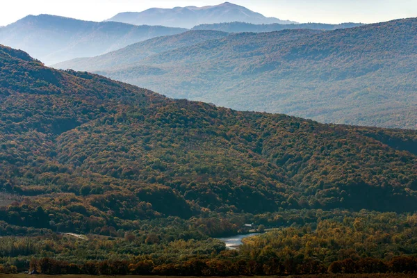 Мальовничий пейзаж з деревами в гірському лісі восени — стокове фото