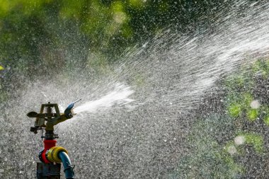 Otomatik Bahçe Çim Fıskiyesi. Çimleri suluyor. Yeşil Doğa Arkaplan kavramı.