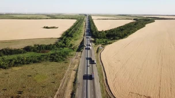 Вид с воздуха на шоссе через золотые пшеничные поля в летний солнечный день. — стоковое видео