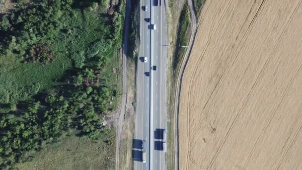 Vue aérienne sur la route nationale à travers les champs de blé doré par une journée ensoleillée d'été. — Video