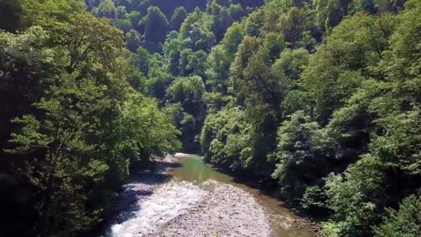 4K aus der Luft. Tiefflug über einen frischen schnellen Gebirgsfluss mit Felsen an einem sonnigen Sommermorgen. Grüne Kiefern und Sonnenstrahlen. — Stockvideo