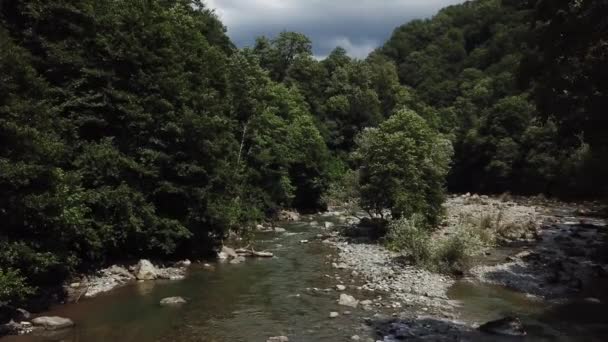 Point de vue aérien 4K. Vol à basse altitude au-dessus d'une rivière de montagne fraîche et rapide avec des roches au matin ensoleillé d'été. Pins verts et rayons du soleil. — Video