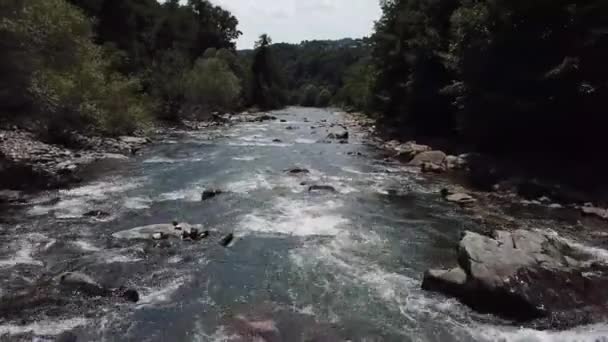 Point de vue aérien 4K. Vol à basse altitude au-dessus d'une rivière de montagne fraîche et rapide avec des roches au matin ensoleillé d'été. Pins verts et rayons du soleil. — Video