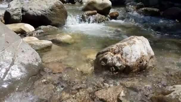 Rivière Wild Mountain Fermer Abondance Clear Stream. Détail Plan statique du ruisseau Babbling avec des blocs de pierre qui coulent. — Video