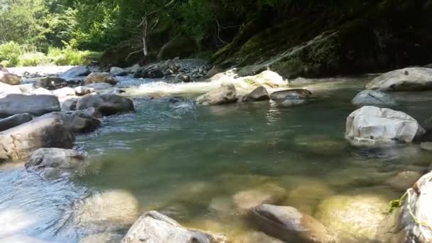 Wild Mountain River Close Up Abundante Clear Stream. Detalhe Tiros estáticos de Babbling Creek com Pedras de Pedra Fluindo. — Vídeo de Stock