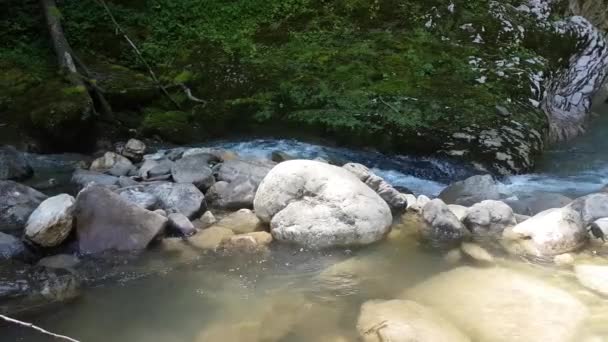 Rivière Wild Mountain Fermer Abondance Clear Stream. Détail Plan statique du ruisseau Babbling avec des blocs de pierre qui coulent. — Video