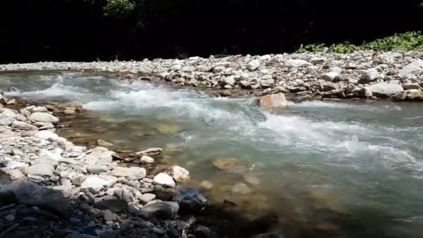 Rivière Wild Mountain Fermer Abondance Clear Stream. Détail Plan statique du ruisseau Babbling avec des blocs de pierre qui coulent. — Video