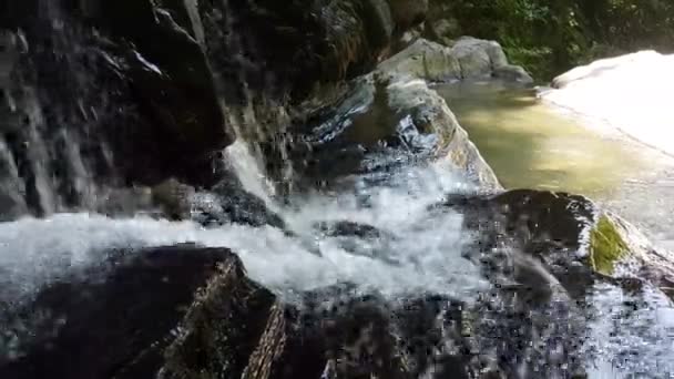 Wild Mountain River zamknąć obfite Clear Stream. Szczegóły Static Shot of Bebling Creek z kamiennych głazów Flowing. — Wideo stockowe