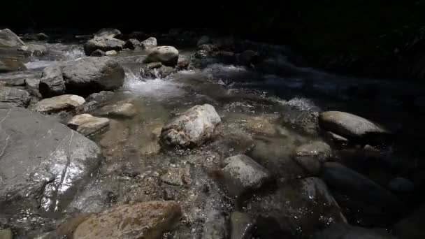 Река Дикая Гора закроет обильный чистый ручей. Детальная статическая съемка ручья Болблинг с каменными камнями. — стоковое видео