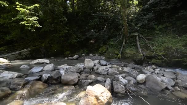 Wild Mountain River Tæt på rigelige Clear Stream. Detalje statisk skud af Babbling Creek med sten kampesten flyder. – Stock-video