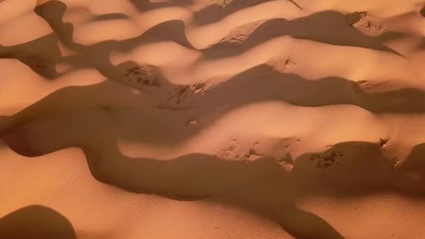 녘에는 황금빛으로 흔들리는 언덕의 모습을 공중에서 수있습니다 드론으로 사막의 자연을 — 비디오