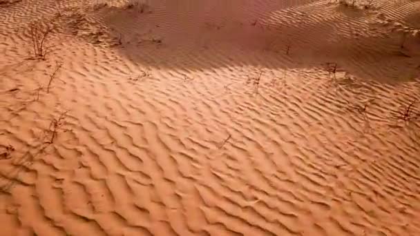 Veduta Aerea Motivo Ondulante Beige Dorato Dune Sabbia Tramonto Drone — Video Stock