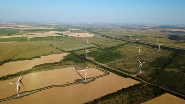Aerial View Windmills Sunset Field Wheat Wind Power Turbines Generating — Stock Video