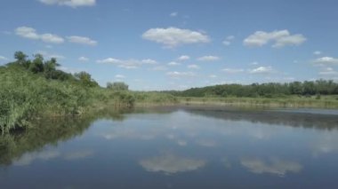 Küçük gölün üzerinden uçmak. Doğada yaz zamanı