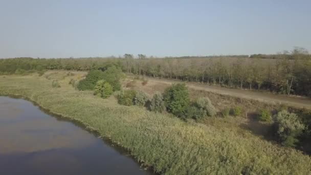 農地の隣の未舗装の田舎道を飛行するドローン — ストック動画