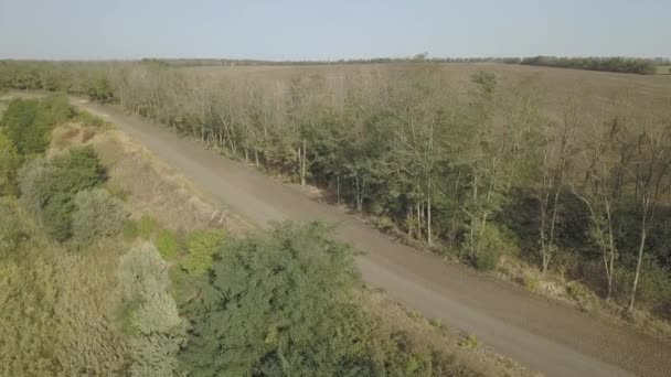 Drone Volo Lungo Una Strada Sterrata Rurale Accanto Campo Agricolo — Video Stock
