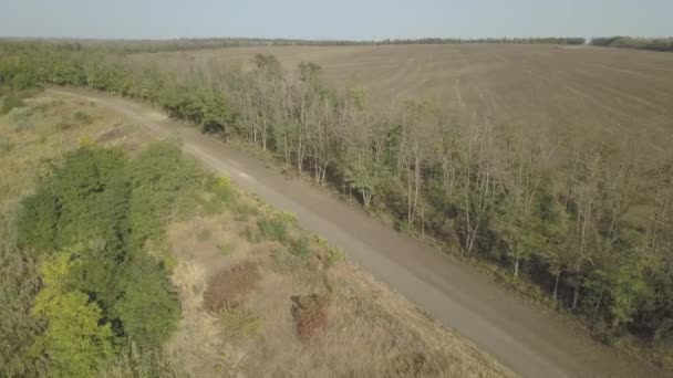 Drone Volo Lungo Una Strada Sterrata Rurale Accanto Campo Agricolo — Video Stock