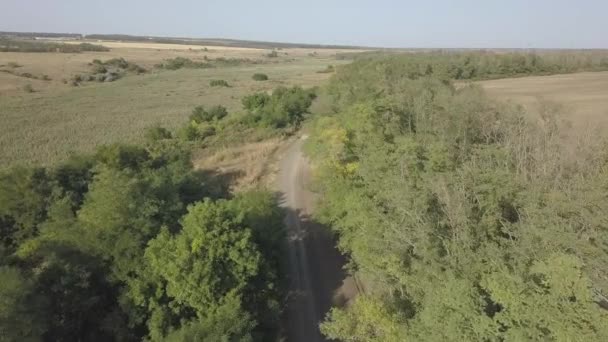 Droneflyging Langs Grusvei Ved Siden Jordbruksfelt – stockvideo