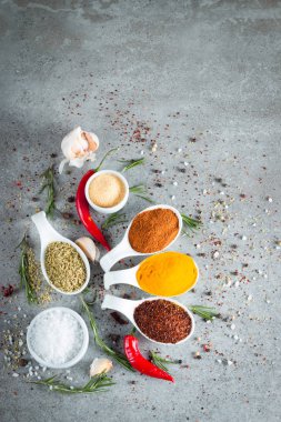 Tahta kaşık içinde baharatlar. Otlar. Köri, safran, zerdeçal, biberiye, tarçın, sarımsak, biber, anason ahşap rustik arka plan üzerinde. Baharatlar ve otlar topluluğu. Tuz, kırmızı biber. Uzay kopyalayın. Üstten görünüm. Afiş. Düz yatıyordu.