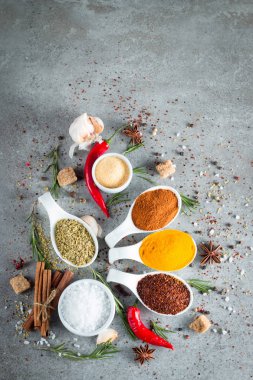 Tahta kaşık içinde baharatlar. Otlar. Köri, safran, zerdeçal, biberiye, tarçın, sarımsak, biber, anason ahşap rustik arka plan üzerinde. Baharatlar ve otlar topluluğu. Tuz, kırmızı biber. Uzay kopyalayın. Üstten görünüm. Afiş. Düz yatıyordu.