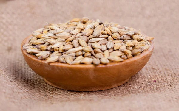 大麦の豆 クローズ アップ麦芽の穀物 解任の背景に大麦 食と農のコンセプトです ホップ — ストック写真