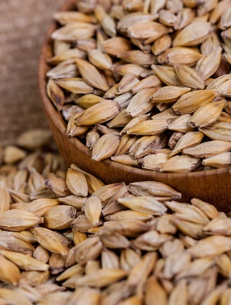 Fagioli Orzo Primo Piano Cereali Malto Orzo Sul Fondo Del — Foto Stock