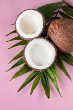 Pembe arka planda kremalı ve yeşil yapraklı olgun hindistan cevizi.. 