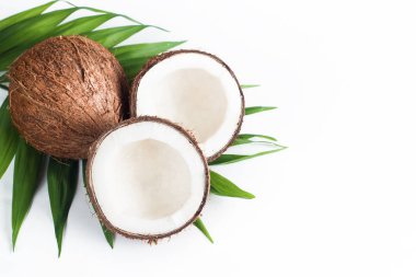 Beyaz arka planda yeşil yapraklı, yarım kesilmiş hindistan cevizi. Ayrı bir kavram. 