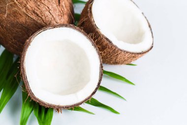 Beyaz arka planda yeşil yapraklı, yarım kesilmiş hindistan cevizi. Ayrı bir kavram. 