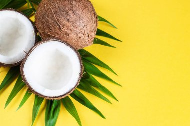 Sarı arka planda yeşil yapraklı, yarım hindistan cevizi.. 